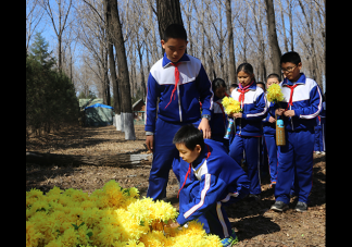 2019清明節(jié)主題活動如何開展 清明節(jié)的活動方案