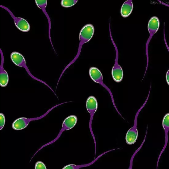 男性死精癥有哪些危害 死精癥的治療方法