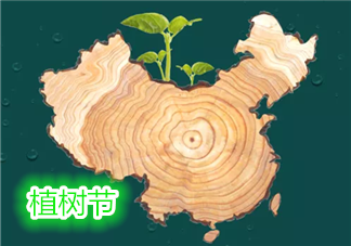 3.12幼兒園植樹節(jié)活動新聞報道 關(guān)于幼兒園植樹節(jié)新聞報道2019