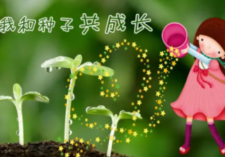 2019幼兒園植樹節(jié)活動方案 幼兒園植樹節(jié)活動全過程