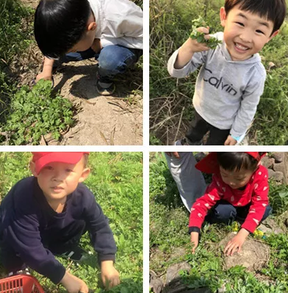 2019幼兒園小班清明節(jié)活動(dòng)教案 最新幼兒園清明節(jié)活動(dòng) 2019幼兒園小班清明節(jié)活動(dòng)教案 最新幼兒園清明節(jié)活動(dòng)