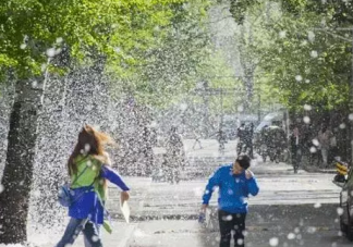 春季孩子花粉過敏口罩別亂選  孩子出現(xiàn)過敏怎么辦