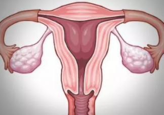 只剩一側輸卵管怎么備孕 輸卵管治療后多久能懷孕