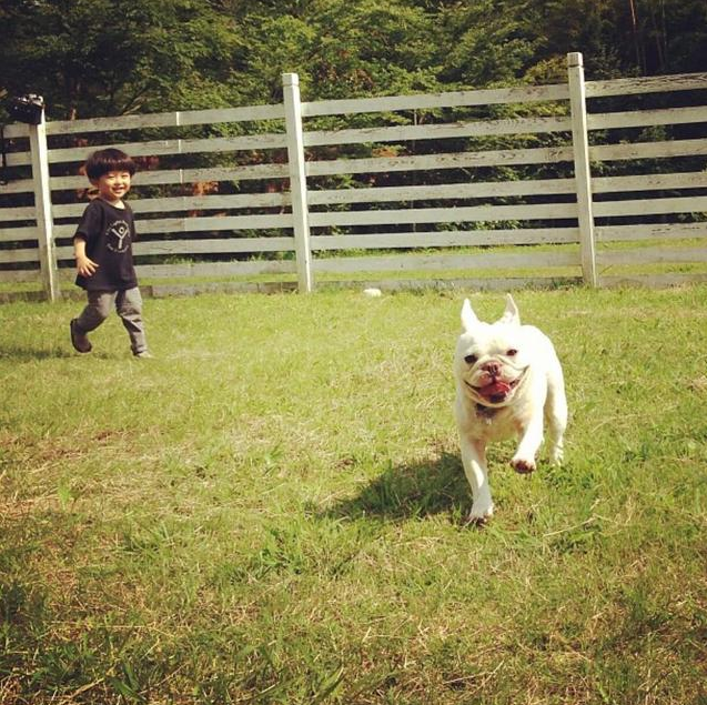 給孩子養寵物要滿足什么條件 養寵物對孩子的成長的好處
