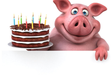 屬豬的人下半年桃花運如何 屬豬的人月份的運勢是怎樣的