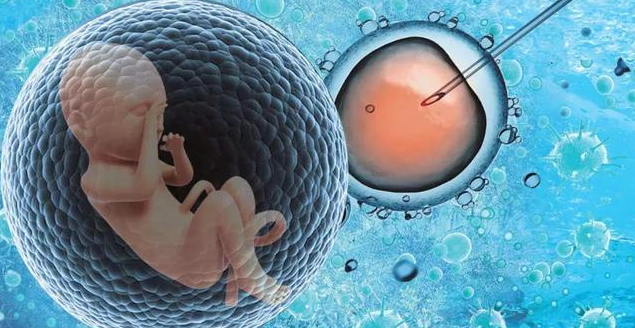 凍了卵什么時候懷孕都可以嗎 凍卵對女性的危害