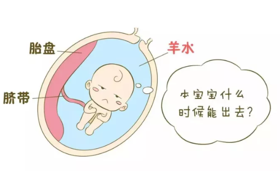 孕婦破水后多久流干 孕婦破水會不會留一點就停了