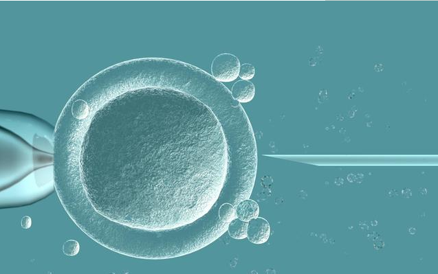 阿Sa自爆打針凍卵計劃 凍卵受精成功率是多少