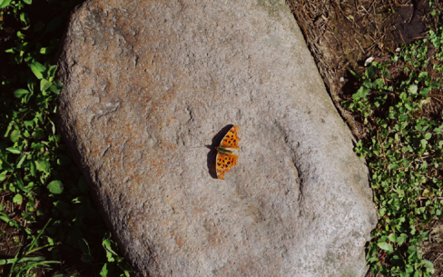 周六早安問候語圖片 早安周六說說朋友圈