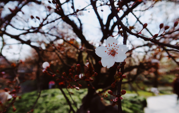 周六早安問候語圖片 早安周六說說朋友圈