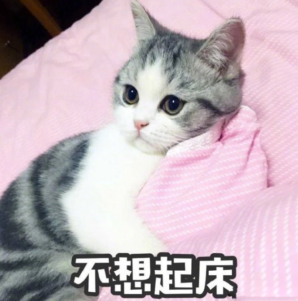 早安周六正能量語錄 2019星期六早安發什么好