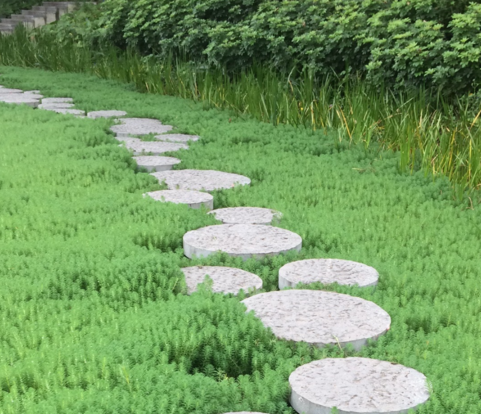 春暖花開踏青的說說 2019春天踏青發(fā)什么說說朋友圈