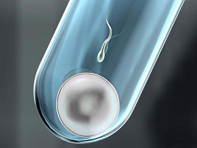 女性絕經(jīng)了還能做試管嬰兒?jiǎn)?女性生育極限是多少 女性絕經(jīng)了還能做試管嬰兒?jiǎn)?女性生育極限是多少