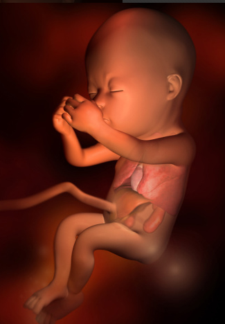 寶寶的臍帶護理正確方法 如何護理好寶寶的肚臍