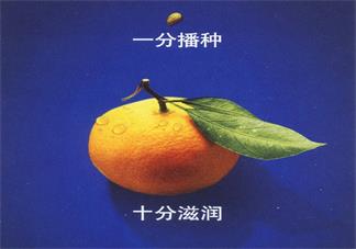 購買試管嬰兒保險要注意什么 試管嬰兒保險有什么風險