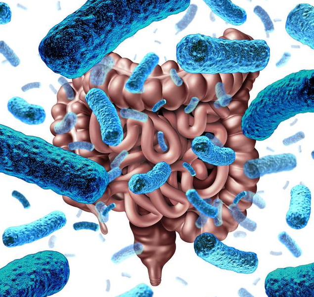 益生菌和益生元有什么區(qū)別 益生菌和益生元如何給寶寶選擇 益生菌和益生元有什么區(qū)別 益生菌和益生元如何給寶寶選擇
