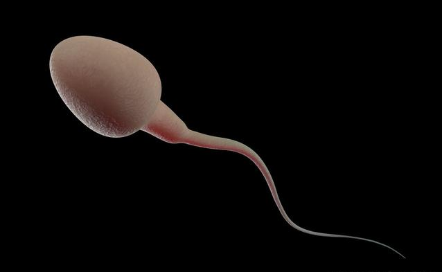 為什么有些女性備孕一次就中 如何讓女性快速懷孕