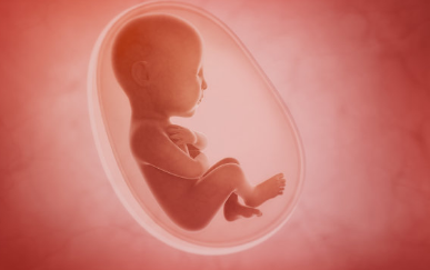 轉胎藥是什么 別再迷信轉胎藥啦真的很可怕