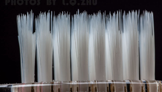 英國brushbaby電動牙刷怎么樣 brushbaby電動牙刷使用測評