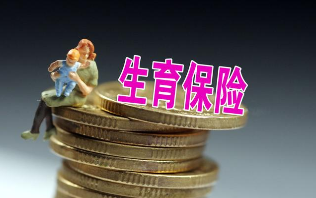 生育保險和醫保合并靈活就業人員會增加生育保險費用嗎 生育保險和醫保合并什么時候全面落實 生育保險和醫保合并靈活就業人員會增加生育保險費用嗎 生育保險和醫保合并什么時候全面落實