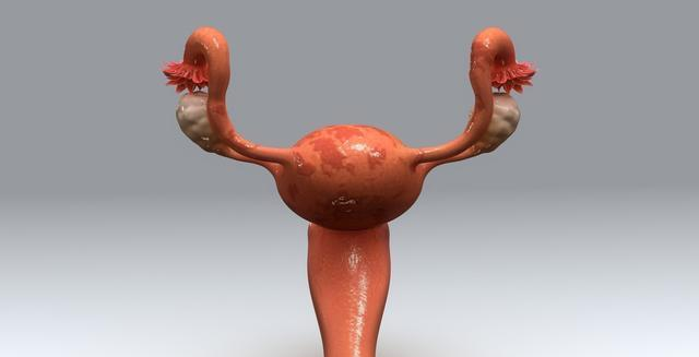 宮頸肥大影響懷孕嗎 宮頸肥大如何防治