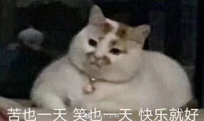 每天保持好心態的說說 每天保持好心態句子