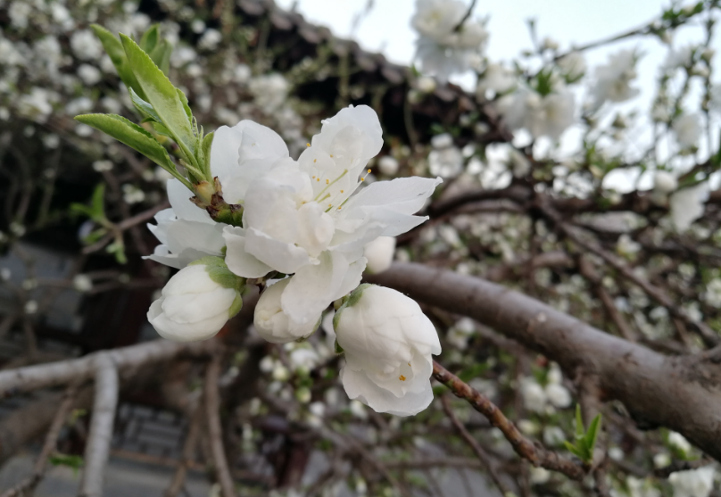 每天保持好心態的說說 每天保持好心態句子