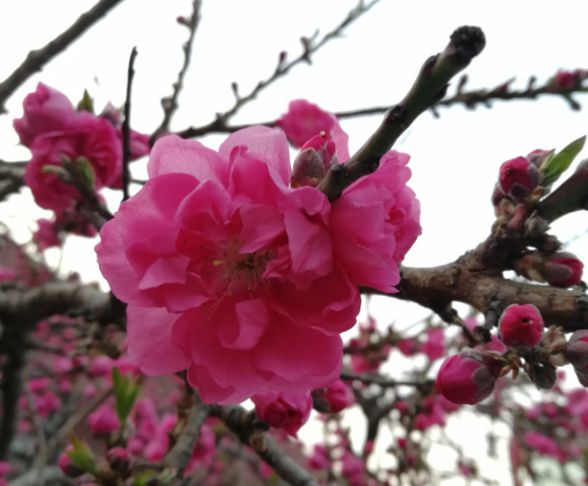 每天保持好心態的說說 每天保持好心態句子