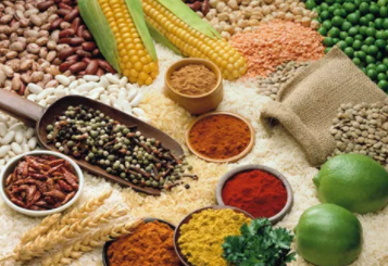 孩子地圖舌怎么調理 地圖舌的調理方法