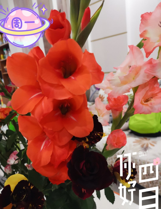 放寬心態的經典語錄 放寬心態的句子說說