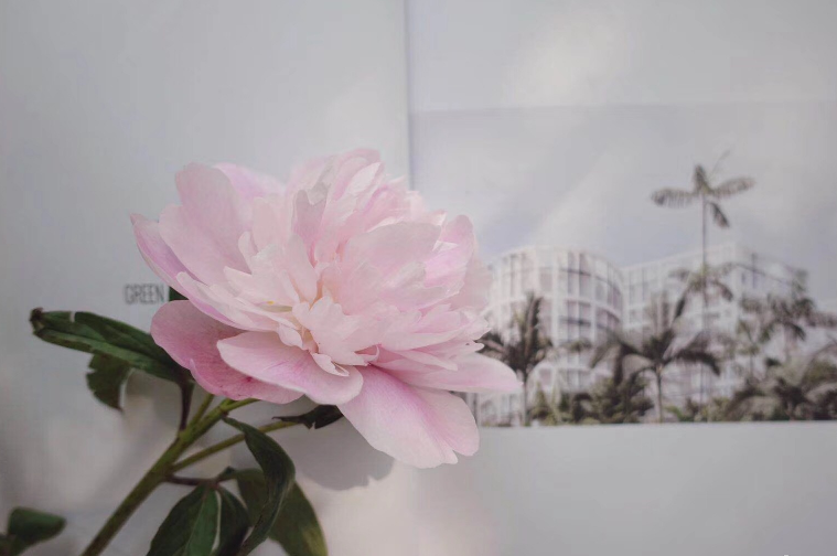 放寬心態正能量的說說 放寬心態發什么說說朋友圈 放寬心態正能量的說說 放寬心態發什么說說朋友圈