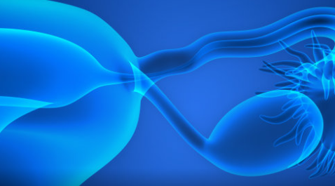 女性輸卵管不通有什么表現 女性輸卵管不通會很難懷孕嗎 女性輸卵管不通有什么表現 女性輸卵管不通會很難懷孕嗎