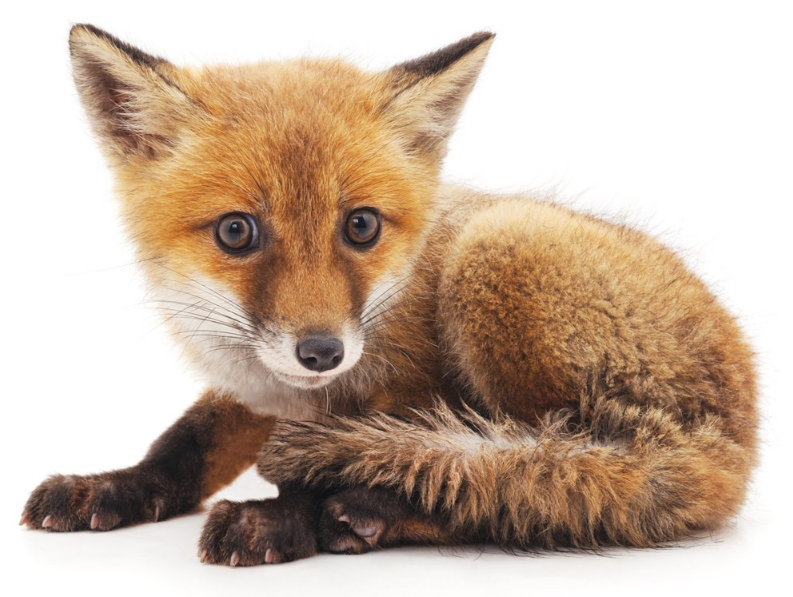 學齡前寶寶睡前故事 換玩具