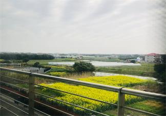 放寬心態(tài)看淡一切的心情 放寬心態(tài)的心情感慨朋友圈