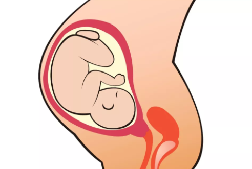 幾種不易留住孩子的體質(zhì) 容易流產(chǎn)的幾種體質(zhì)