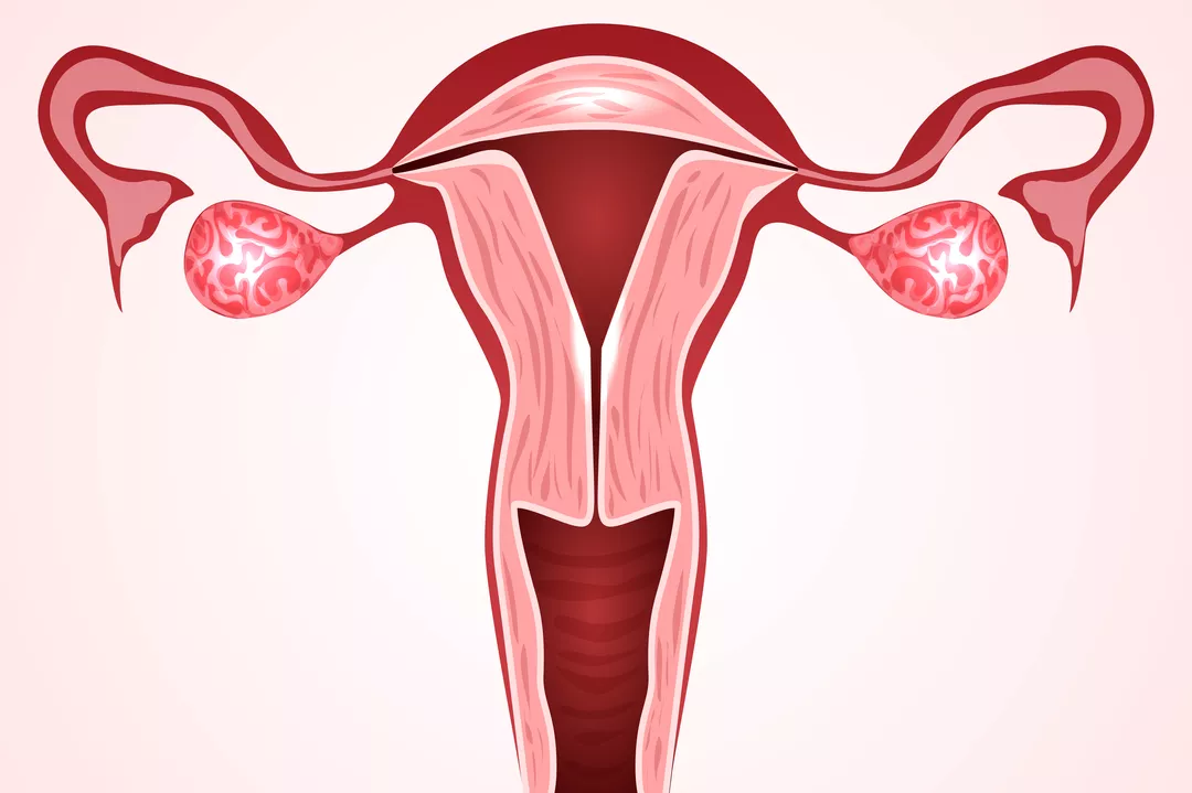 試管嬰兒移植后出血正常嗎 試管嬰兒移植后出血嚴重嗎