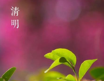 清明節聰明的家長都帶孩子做這幾件事 清明適合帶孩子干什么