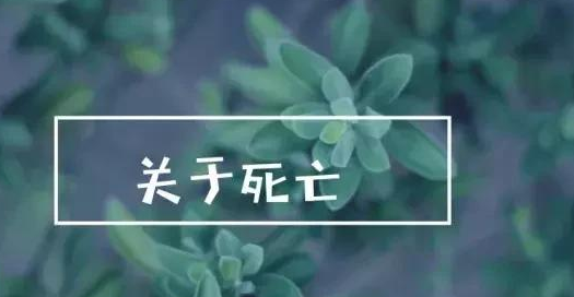 清明節聰明的家長都帶孩子做這幾件事 清明適合帶孩子干什么