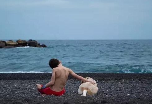 如何判斷孩子是不是自閉癥 孩子自閉癥的早期癥狀 如何判斷孩子是不是自閉癥 孩子自閉癥的早期癥狀