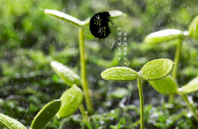 2019清明節心情感言句子短語 清明節說說朋友圈配圖 2019清明節心情感言句子短語 清明節說說朋友圈配圖