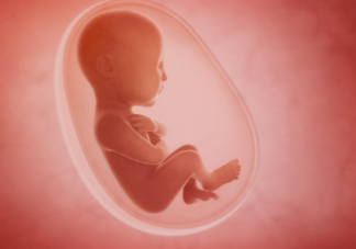 椰子水可以補羊水嗎  如何讓羊水更多