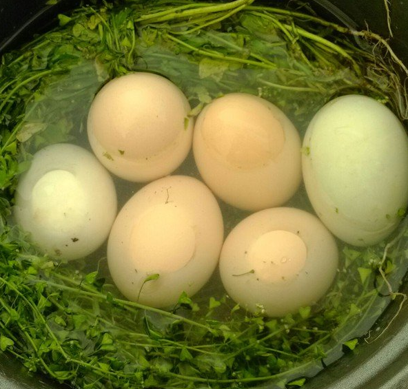 三月三是什么節日 為什么三月三會放假