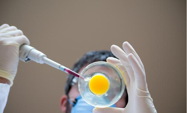 基因編輯食品和轉基因食品是一回事嗎 對傳統食物有什么影響 基因編輯食品和轉基因食品是一回事嗎 對傳統食物有什么影響