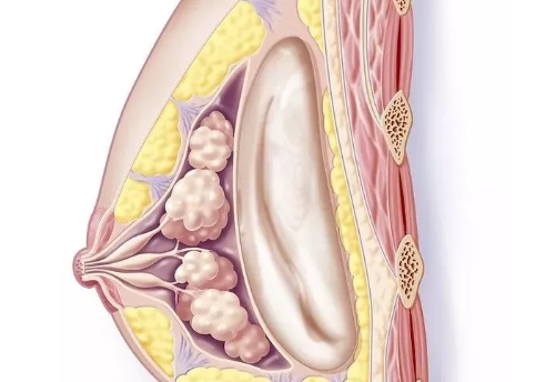 斷奶幾天可以排出殘奶 斷奶多久才能完全沒奶