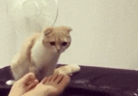 中國有18例確認真菌感染 真菌感染是怎么引起的 中國有18例確認真菌感染 真菌感染是怎么引起的