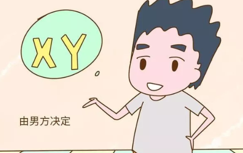 2019年4月14日懷孕生男生女 農歷三月初十懷孕是男孩還是女孩