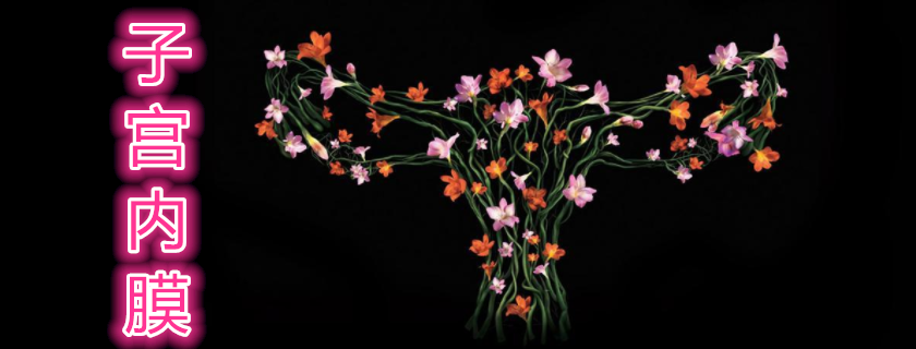 子宮內(nèi)膜