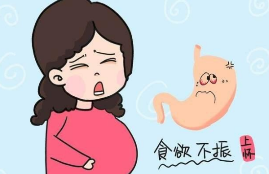 孕婦上懷和下懷有什么區別 上懷和下懷的不同點