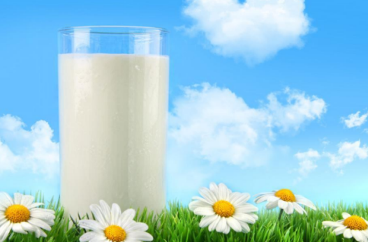 一歲內的寶寶為什么不能喝純牛奶 寶寶牛奶的攝入量