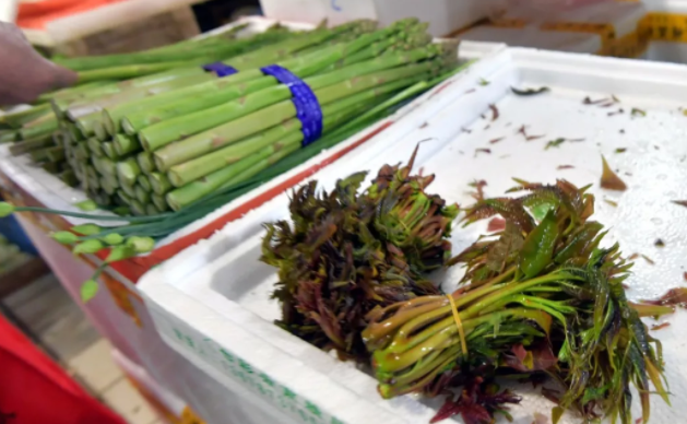 香椿炒雞蛋中毒是怎么回事 這些菜吃前一定要焯水